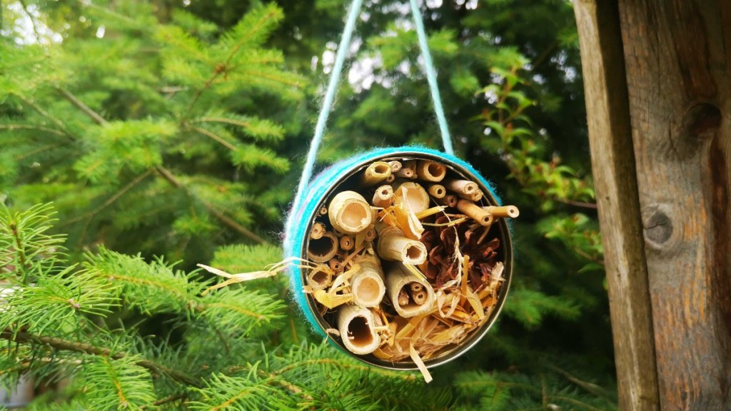 Blick in ein selbst gebautes Insektenhotel