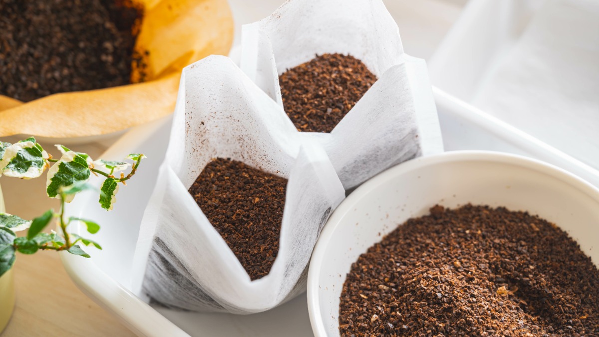 Kaffeesatz in einer Schale und in Kaffeefiltern