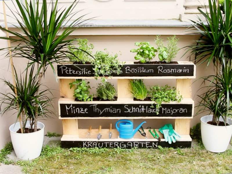 Ein DIY-Kräutergarten, der aus einer Palette gebaut wurde.