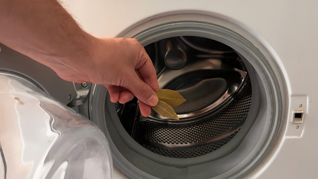 Drei Lorbeerblätter werden vor eine Waschmaschine gehalten