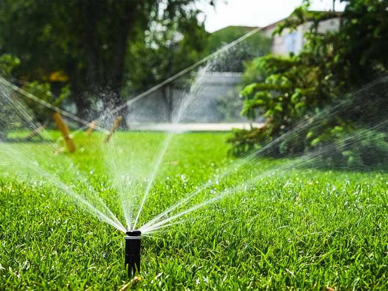 Ein Rasensprenger bewässert einen Garten.