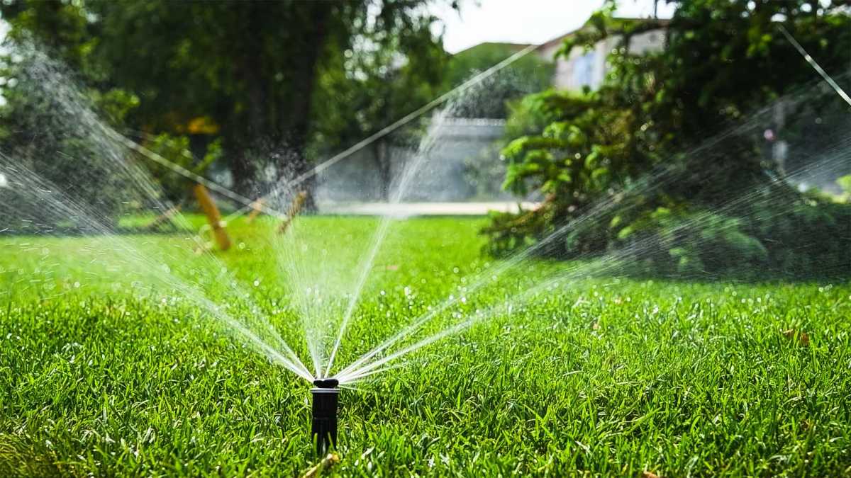 Ein Rasensprenger bewässert einen Garten.