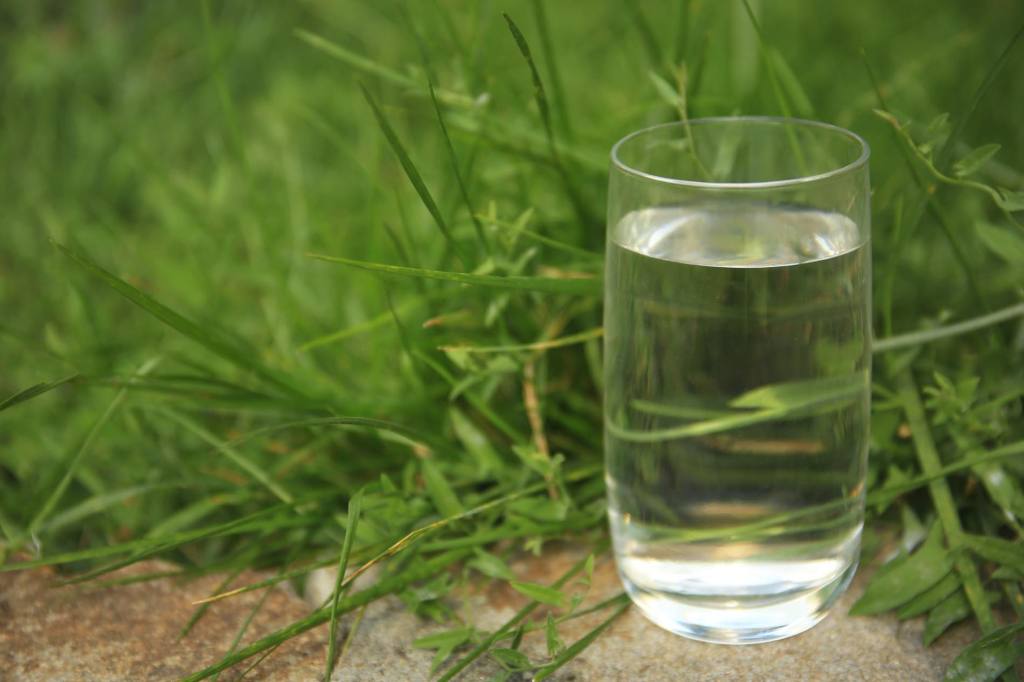 Ein mit Wasser gefülltes Glas steht vor einem Rasen.