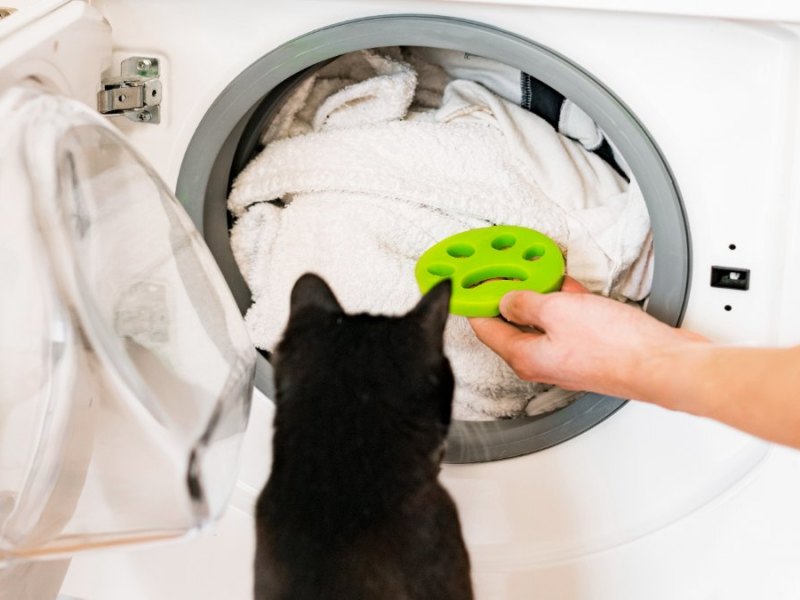 Eine Katze sitzt vor einer Waschmaschine.