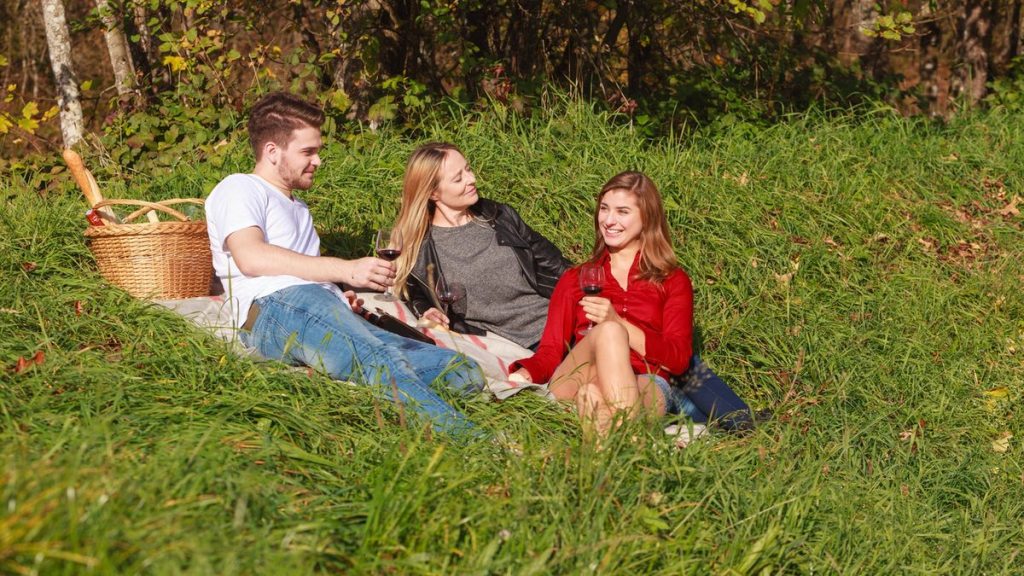 Picknicken