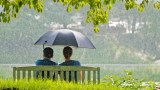 ein Paar sitzt unter einem Regenschirm auf einer Bank