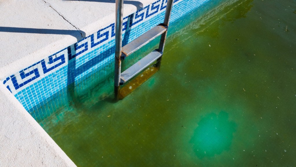 ein verdreckter Pool mit grünem Poolwasser