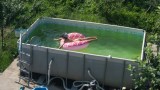 ein Kind badet in einem Pool mit grünem Poolwasser
