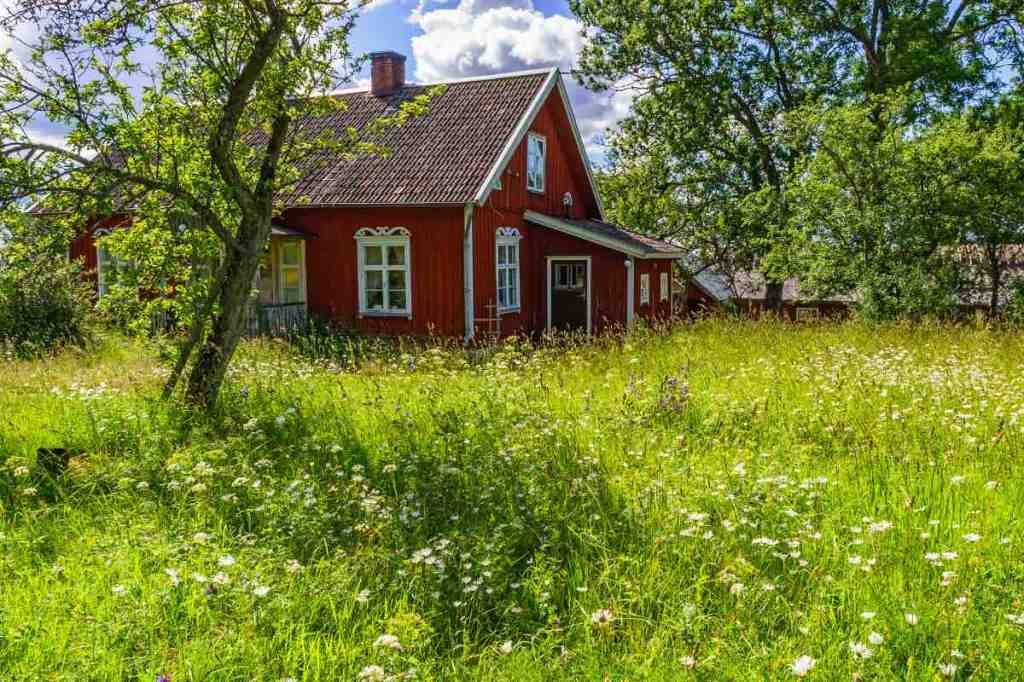 Ein wilder Garten vor einem schwedischen Landhaus.
